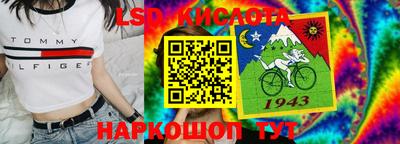 молекула духа Донецк