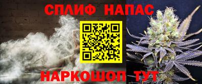 молекула духа Донецк