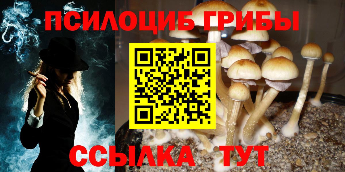 Псилоцибиновые грибы Magic Shrooms Лянтор