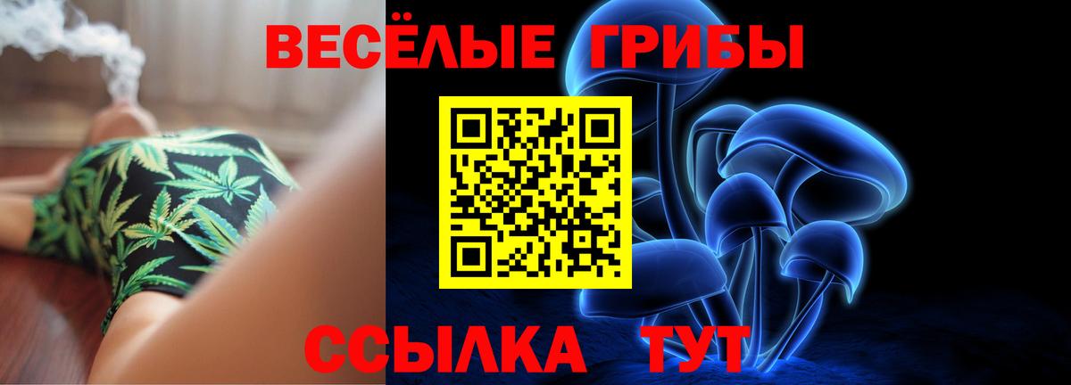 Лянтор  Псилоцибиновые грибы MAGIC MUSHROOMS  Вход с VPN 